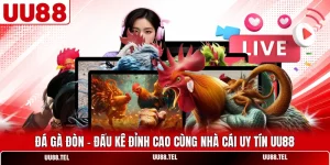 Đá Gà Đòn